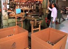 Progressive Die Stamping Cell